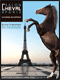 Salon du Cheval
